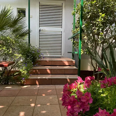 Sunny Garden *