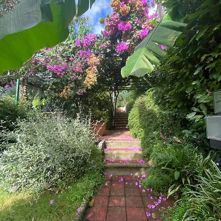 Sunny Garden أوباتيا