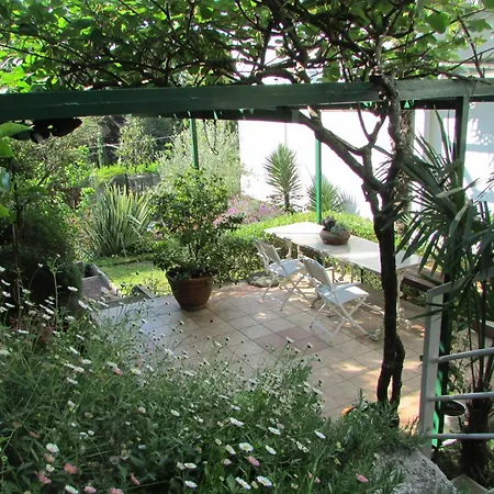 Sunny Garden Opatija