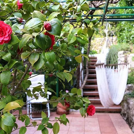 Appartement Sunny Garden *