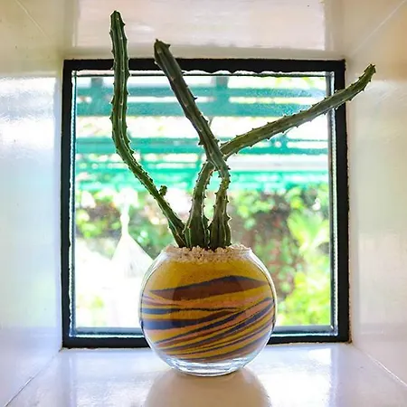 Sunny Garden Appartement Opatija