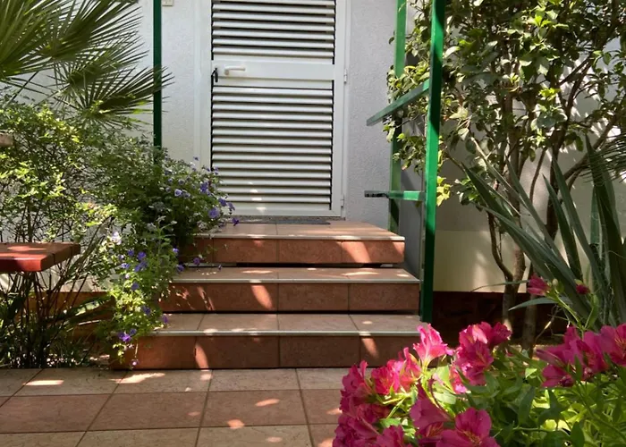 Sunny Garden *