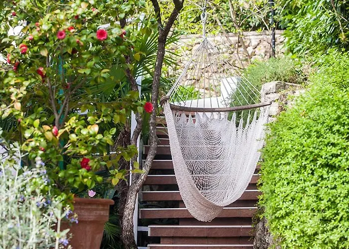 Sunny Garden *