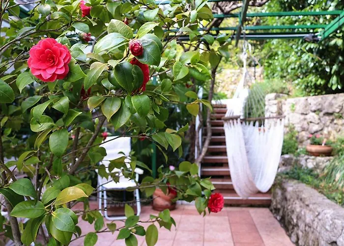 Apartament Sunny Garden *