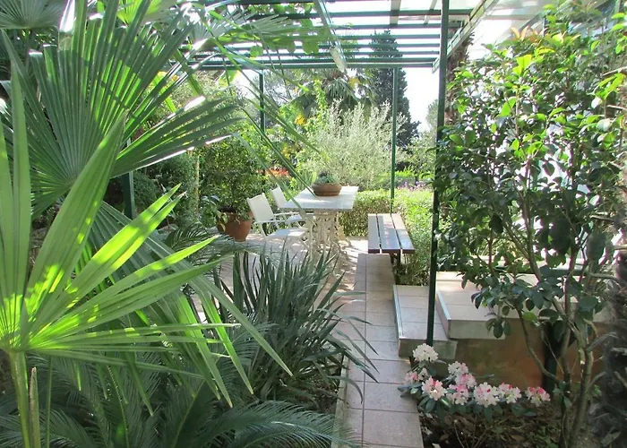 Sunny Garden